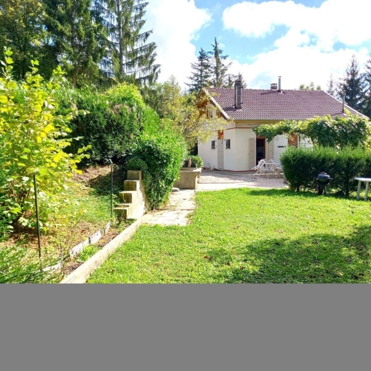 VITTOZ IMMOBILIER : Maison / Villa | LUCINGES (74380) | 80.00m2 | 565 000 € 