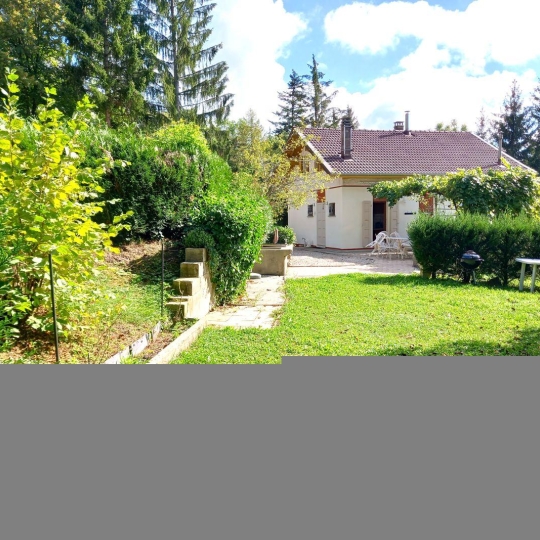 VITTOZ IMMOBILIER : House | LUCINGES (74380) | 80.00m2 | 650 000 € 