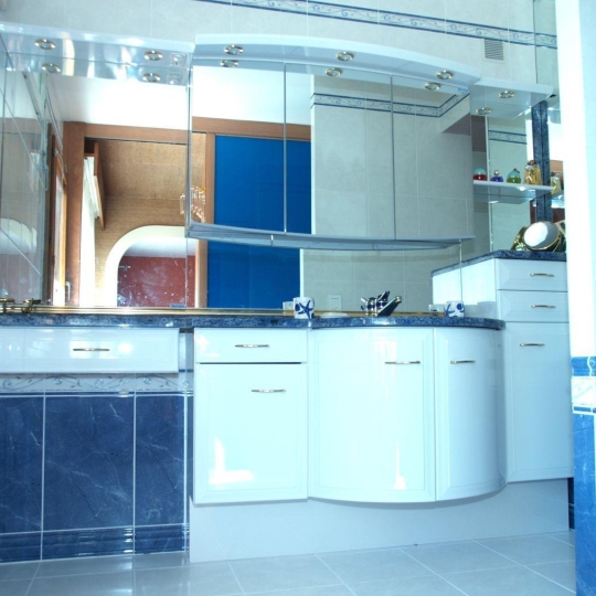  VITTOZ IMMOBILIER : Maison / Villa | ANNEMASSE (74100) | 300 m2 | 1 750 000 € 