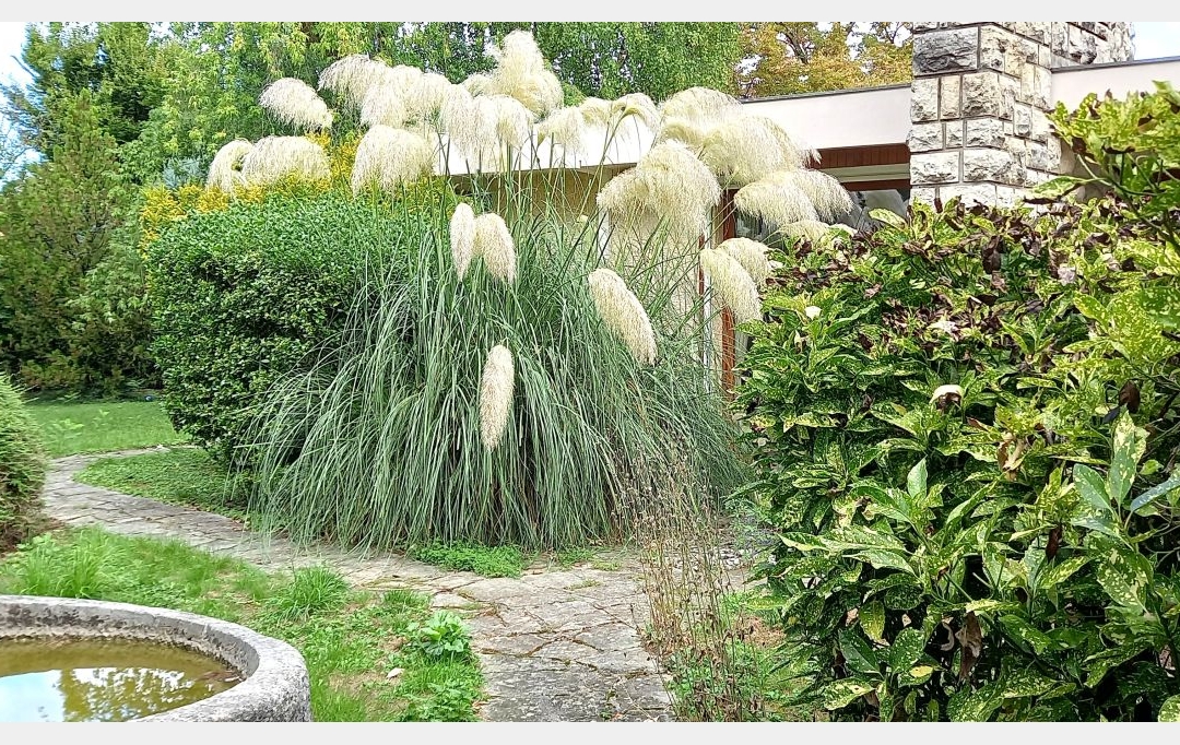 VITTOZ IMMOBILIER : Maison / Villa | ANNEMASSE (74100) | 300 m2 | 1 680 000 € 