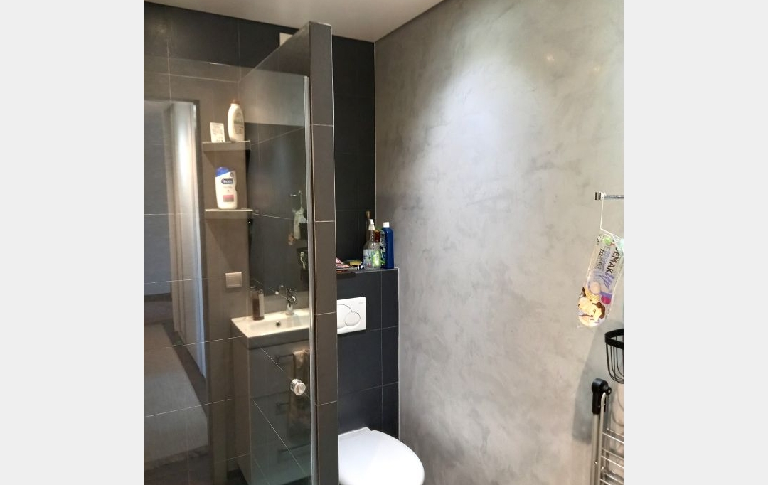 VITTOZ IMMOBILIER : Appartement | ANNEMASSE (74100) | 105 m2 | 490 000 € 