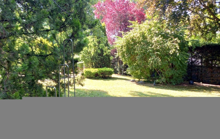  VITTOZ IMMOBILIER Maison / Villa | ANNEMASSE (74100) | 300 m2 | 1 680 000 € 
